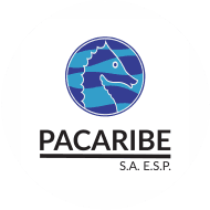 pacaribe